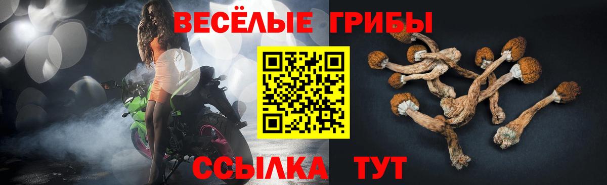 Галлюциногенные грибы Psilocybe  цены наркотик  Рубцовск  Вход с VPN 