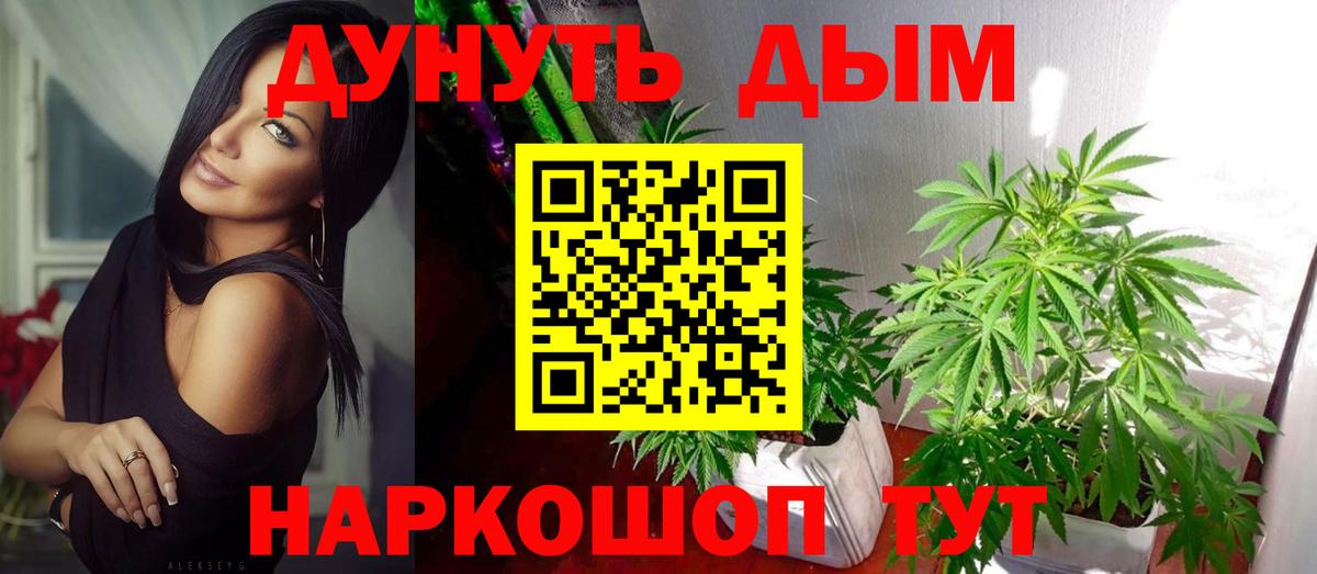 Шишки марихуана LSD WEED  Шишки марихуана план  МАРИХУАНА конопля  Вход с VPN  Рубцовск 